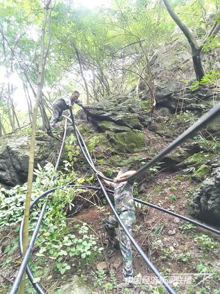 20230821105714_69856.jpg?v=1699081615