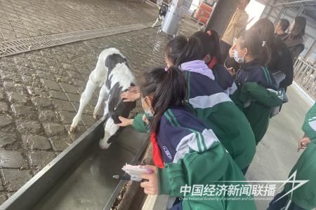 乳业学生2 (1).jpg?v=1699192436