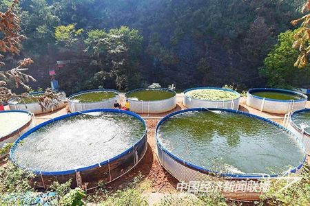 20231102e808820cf7d10908e3237383704dc61f.jpg?v=1699253174