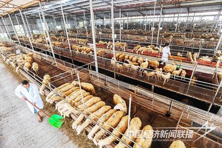 20231102d0df622f7d15c6f17804be517c5d3450.jpg?v=1699253054