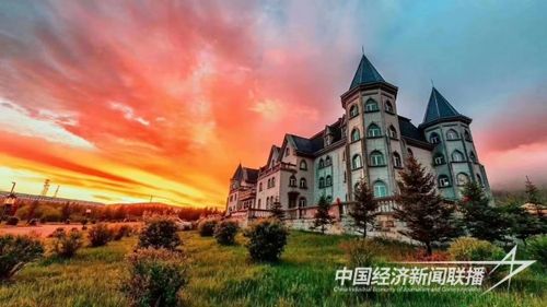 ff050ab7a70f4e0ffc0c0fc45942438.jpg?v=1699341050