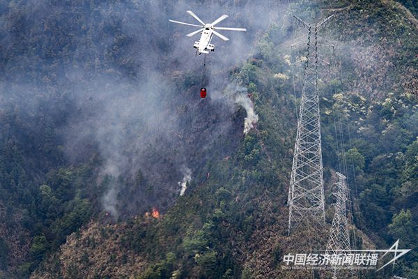 20231109吉祥鸟1.jpg?v=1699499275