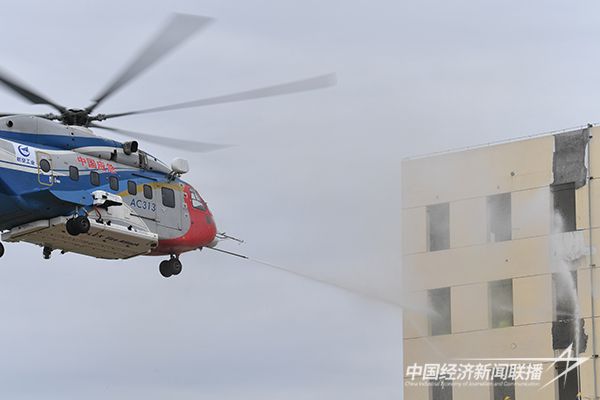 20231109吉祥鸟2.jpg?v=1699499275