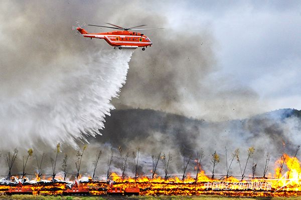 20231109吉祥鸟3.jpg?v=1699499275