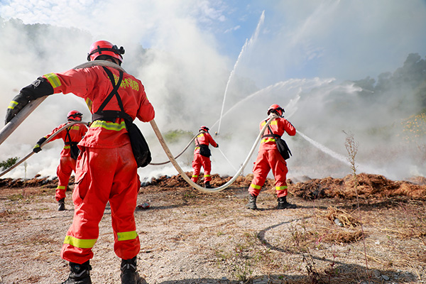 20231110 厦门市森林防灭火3.jpg