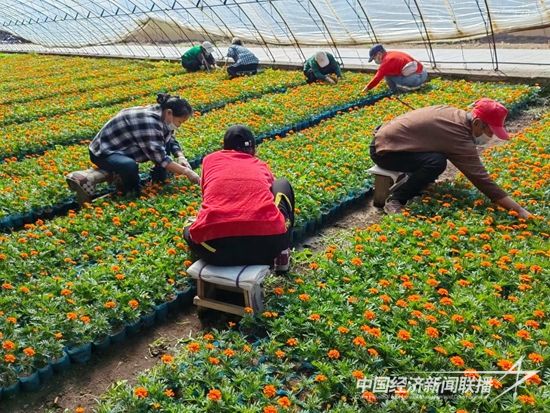 微信图片_20231113173400.jpg?v=1699929349