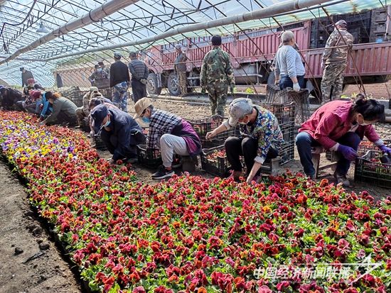 IMG_20220517_073441.jpg?v=1699929349