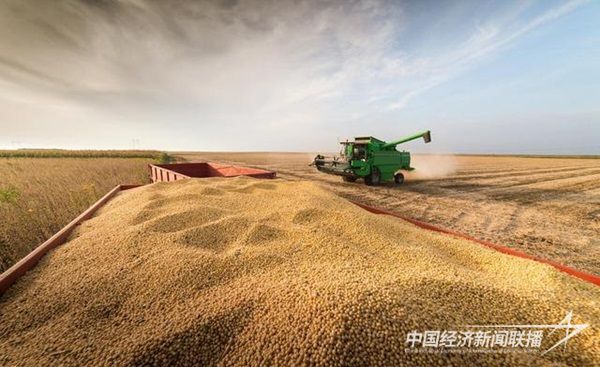 001.jpg?v=1699928613