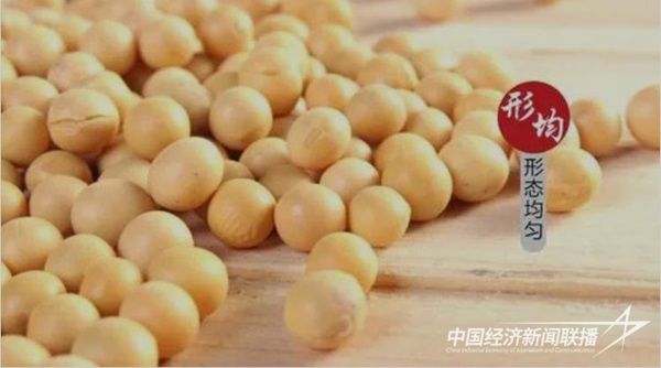 001.jpg?v=1699949482