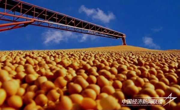 003.jpg?v=1699949482