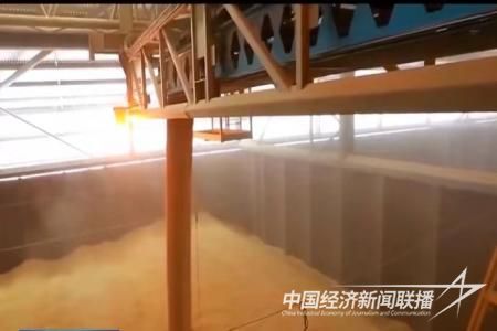 大石桥大米2.jpg?v=1700039420