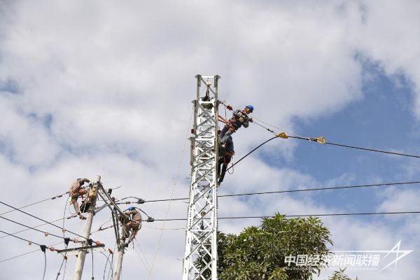 20231115  云霄供电：线路改造1.jpeg