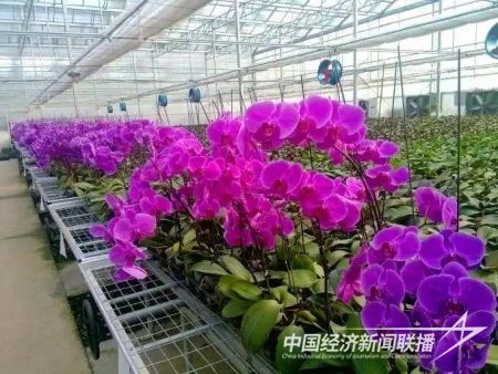 001(1)(1).jpg?v=1700231038