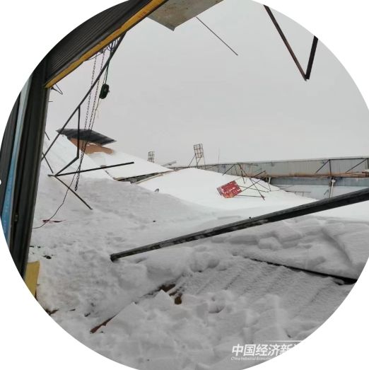 004.jpg?v=1700234650