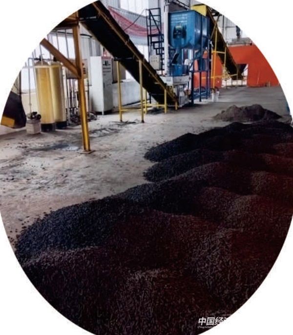 005.jpg?v=1700234650