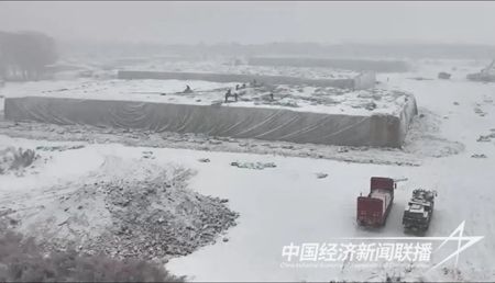 640 (1).jpg?v=1700475520