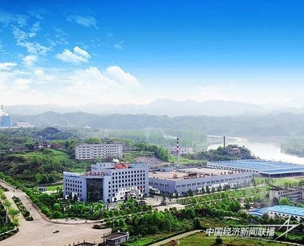 001(1)(1).jpg?v=1700558902