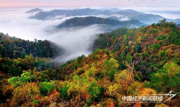 001(1)(1).jpg?v=1700560333