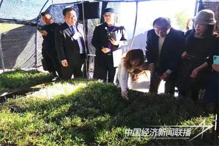 921d04674fd422149d6de535f8d026b.jpg?v=1700734020