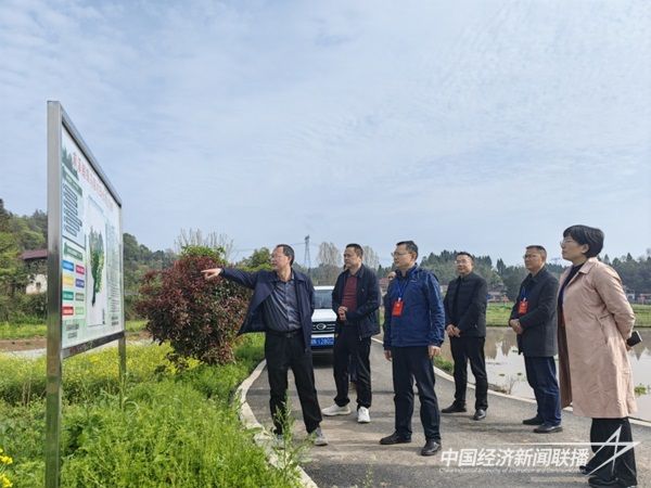 001(1)(1).jpg?v=1700798153