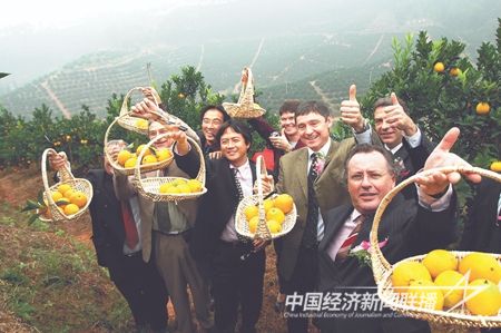 00300422849_ec9ae94c.jpg?v=1700911925