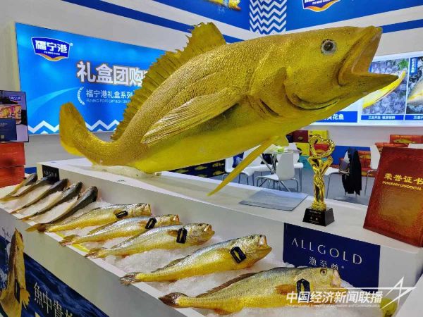 20231127大黄鱼1_new (1).jpeg