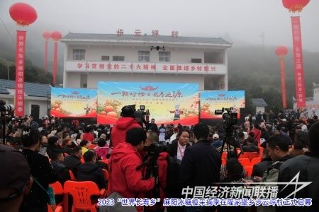 IMG_9337_看图王.jpg?v=1701179012