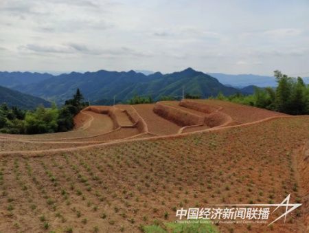 微信图片_20231129155055.jpg?v=1701250276