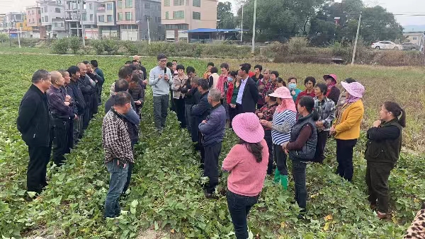 20231205 漳浦县高素质农民4.jpg