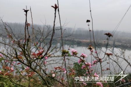 微信图片_20231207095131.jpg?v=1701916578