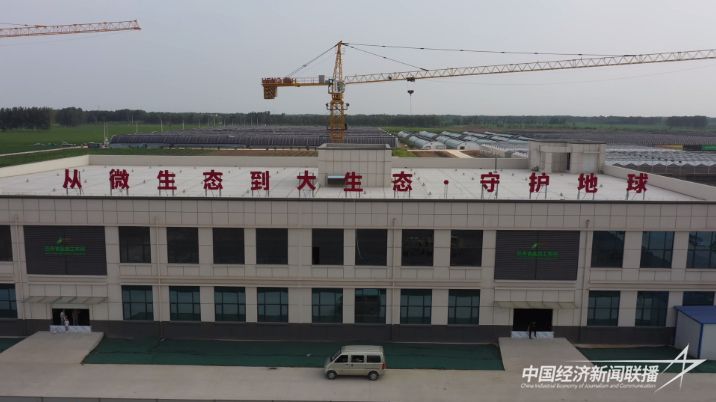 120701....jpg?v=1701916769