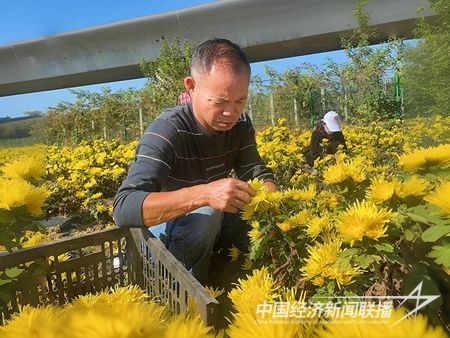 f082d7159f40f74c288adc09b65e2c7.jpg?v=1701921402