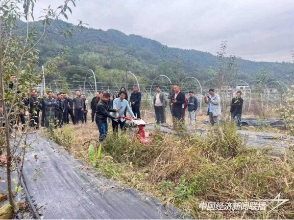 20231208永泰3_new (1).jpeg