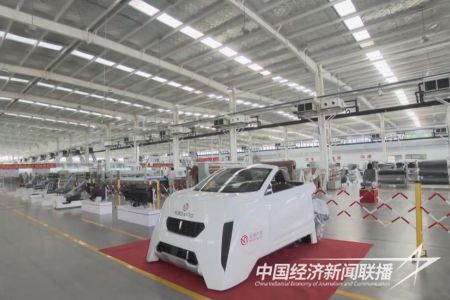 12081.jpg?v=1702029599