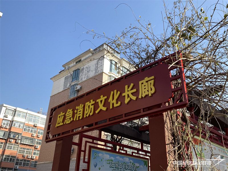 图片 6.jpg?v=1702266923