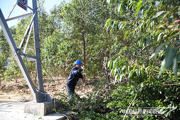 20231211  云霄供电：“三强化”2.jpg?v=1702280239