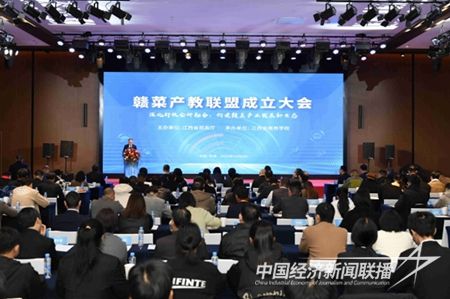 s_ca24e7b8fd0942328c7b16ed094719bf.jpg?v=1702389470