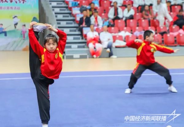 20231214 文同脉 武同源 海峡两岸共聚叙武缘5.jpg?v=1702557071