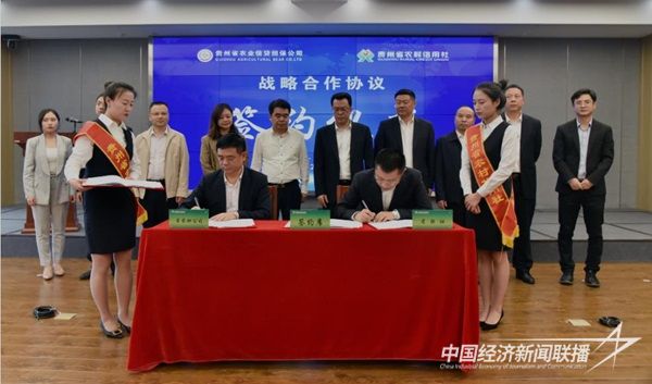 001(1).jpg?v=1702609485