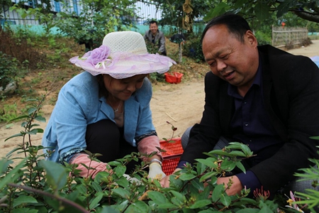 管成彬在金银花基地 - 副本_proc.jpg