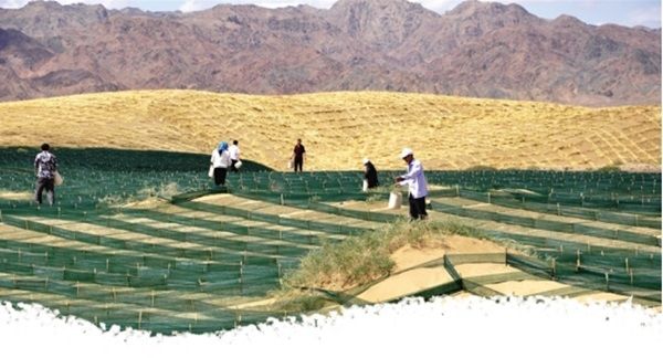 播撒绿色希望.jpg?v=1703081348