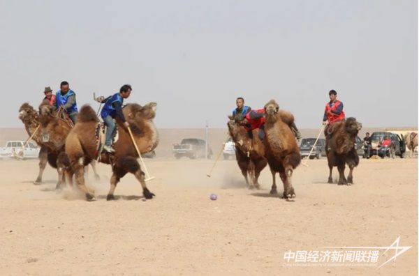 微信截图_20231214132256.jpg?v=1703081348