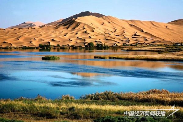 W020220509437352529288.jpg?v=1703084860