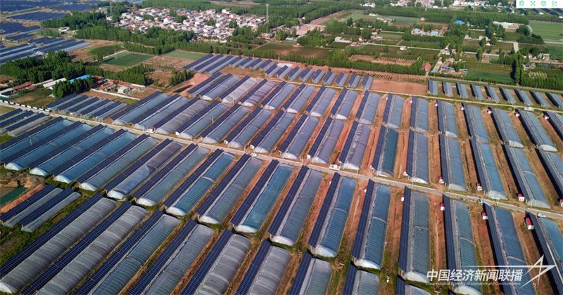 新泰市采煤塌陷区农光互补基地.jpg?v=1703648120