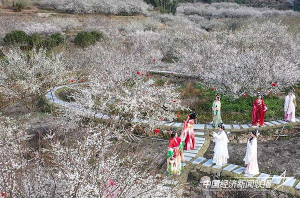 20231228  永泰李梅文化节2.jpg?v=1703752993