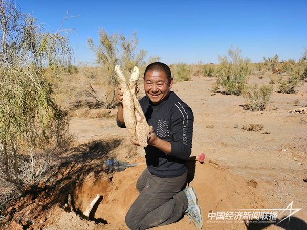 微信图片_20211118183409.jpg?v=1703847167