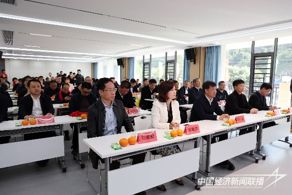 20240104 华安县第二届柑橘文化节1.jpeg