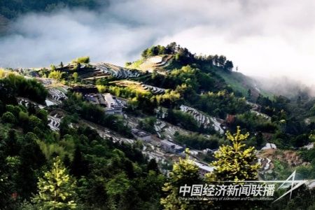 4c5b84916a9c460f89557e4835c62f04.jpg?v=1704458367