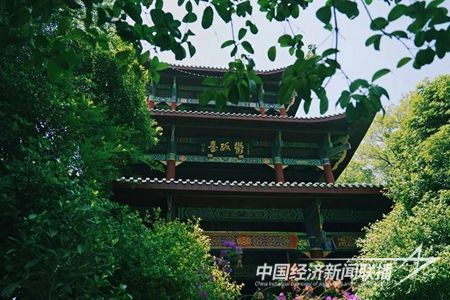 5ccfd20df5dc4e0e82320a56131c8fcd.jpg?v=1704542712