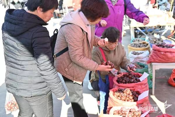 20240115  南平武夷街道首届溪洲荸荠节11.jpg?v=1705303004